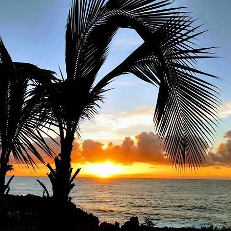 Pahoa Paradise Palms ภายนอก รูปภาพ
